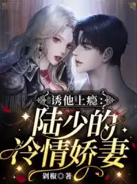 七零小福妻：糙汉老公宠上瘾小说