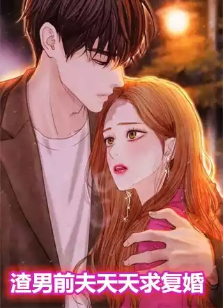 渣男前夫天天求复婚小说