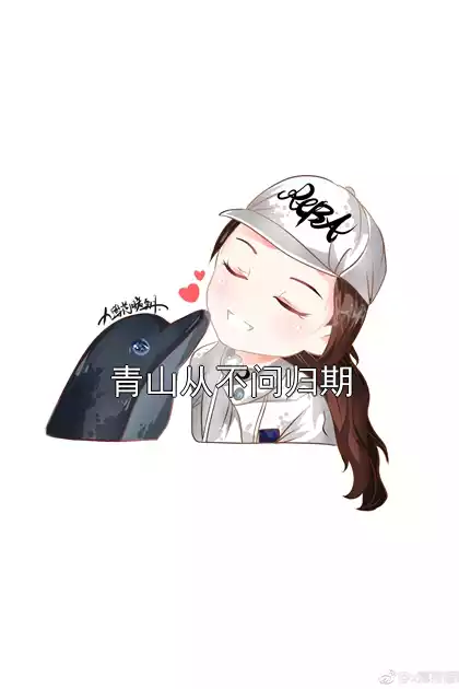 青山从不问归期