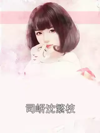 司岍沈繁枝小说