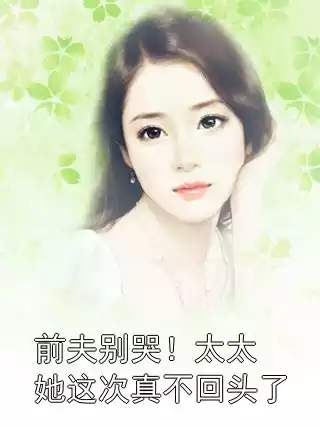 前夫别哭！太太她这次真不回头了小说