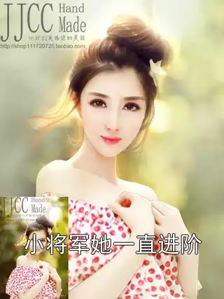 小将军她一直进阶小说