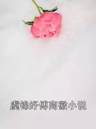 虞锦纾傅商徽小说小说