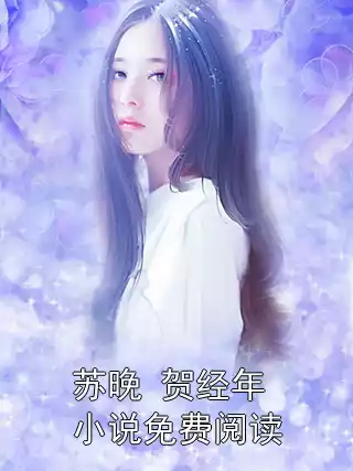 苏晚 贺经年小说免费阅读小说