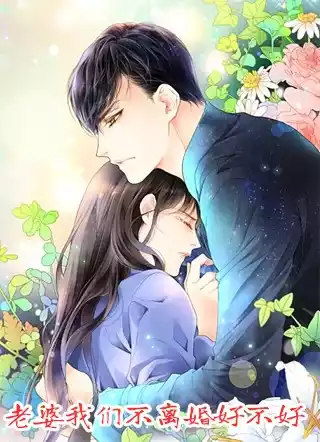 老婆我们不离婚好不好
