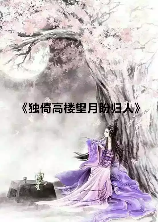 独倚高楼望月盼归人