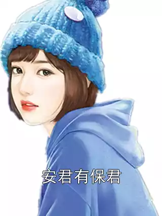 安君有保君小说