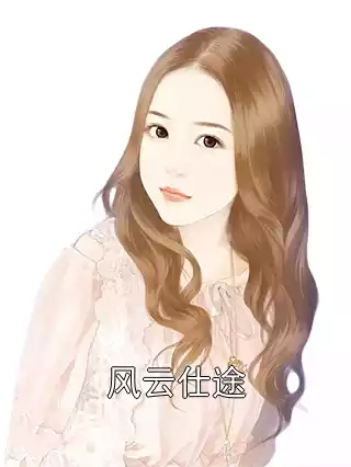 风云仕途小说