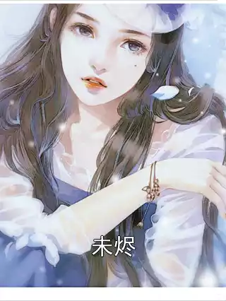 未烬小说