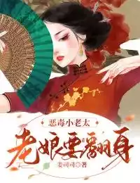 恶毒小老太：老娘要翻身小说