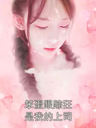 笨蛋跟踪狂是我的上司小说