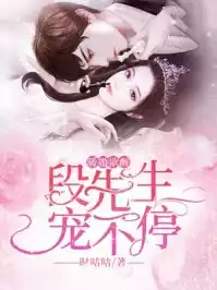 暖婚*醉段先生宠不停小说