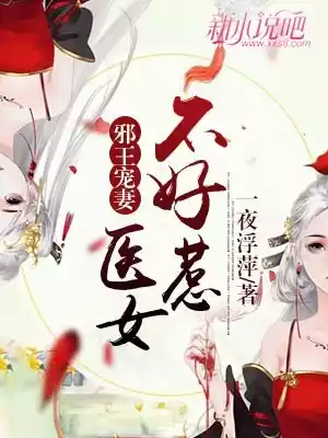 邪王宠妻医女不好惹小说