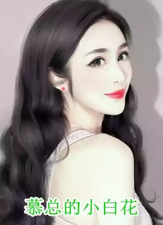慕总的小白花小说
