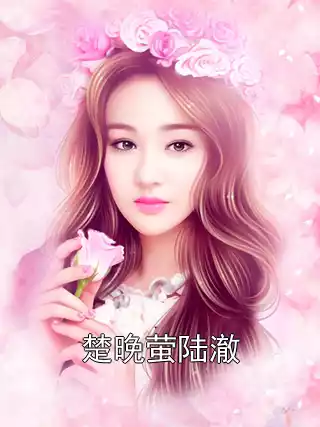 楚晚萤陆澈