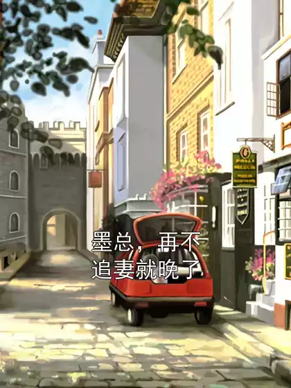 墨总，再不追妻就晚了小说