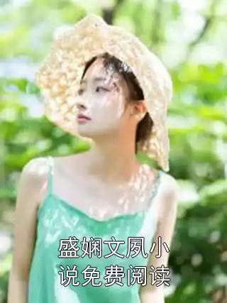 盛娴文夙小说免费阅读