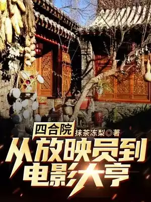四合院从放映员到电影大亨小说