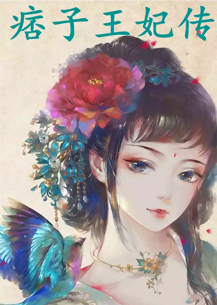 痞子王妃传小说