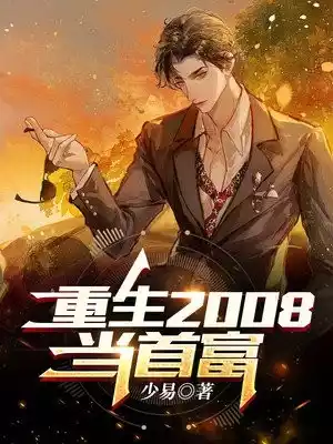 重生2008当首富小说