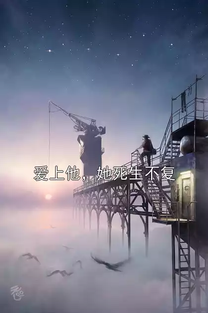 爱上他，她死生不复小说