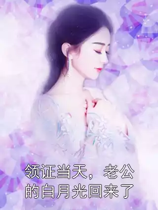 领证当天，老公的白月光回来了