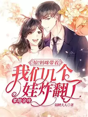 惊妈咪带着我们几个娃炸翻了爹地金库小说