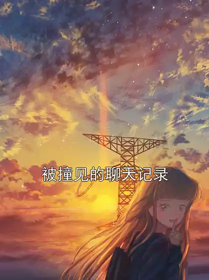 被撞见的聊天记录小说