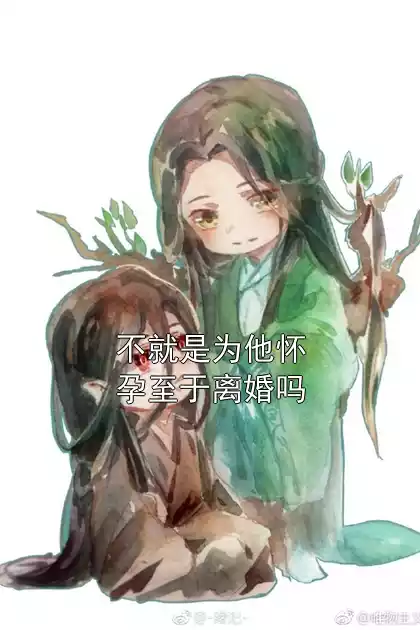 不就是为他怀孕至于离婚吗小说
