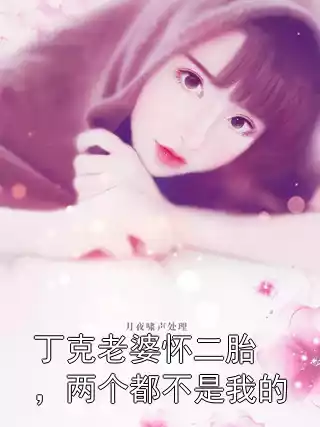 丁克老婆怀二胎，两个都不是我的小说