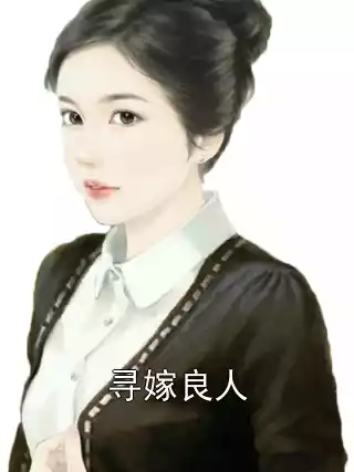 寻嫁良人小说