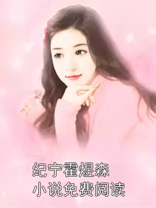 纪宁霍煜森小说免费阅读小说
