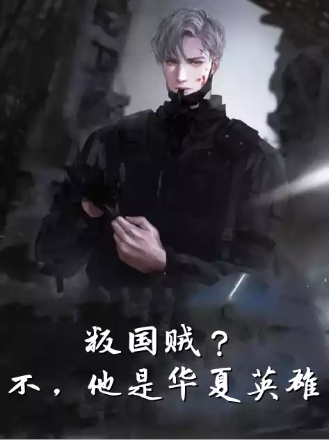 叛国贼不他是华夏英雄小说