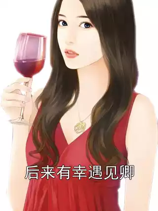 后来有幸遇见卿小说