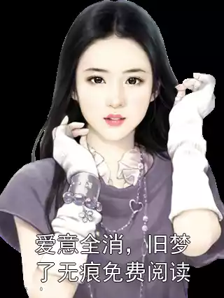爱意全消，旧梦了无痕免费阅读小说