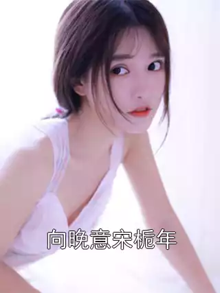 向晚意宋栀年小说