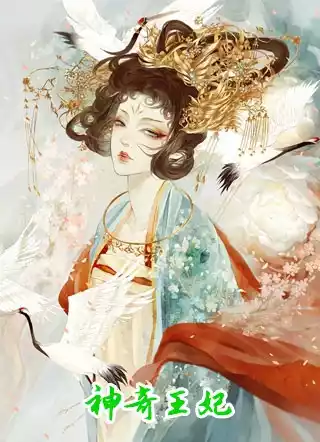 神奇王妃