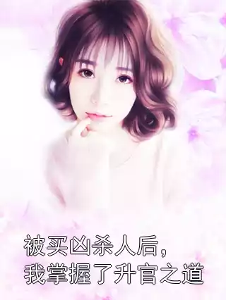 被买凶杀人后，我掌握了升官之道