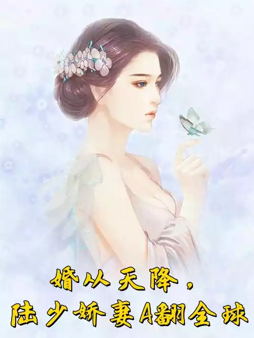 婚从天降陆少娇妻A翻全球小说