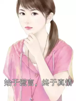 始于谎言，终于真情小说