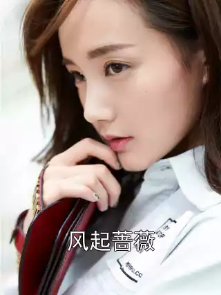 风起蔷薇小说