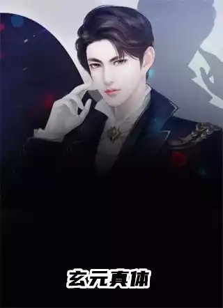 玄元真体小说