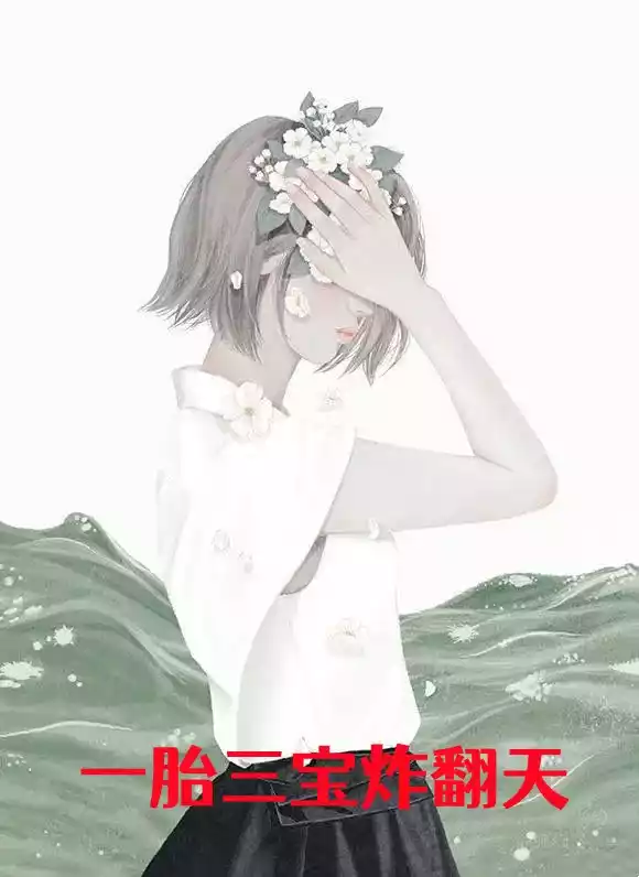 一胎三宝炸翻天小说