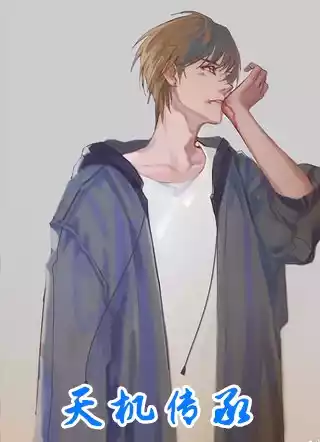 天机传承小说